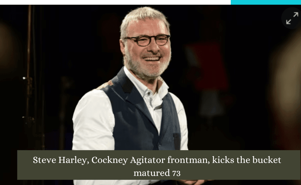 Steve Harley, Cockney Agitator frontman, kicks the bucket matured 73